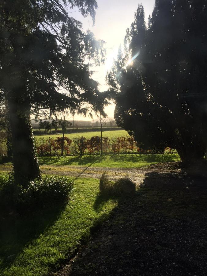 Ballyrider House Hotel Inch Cross Luaran gambar